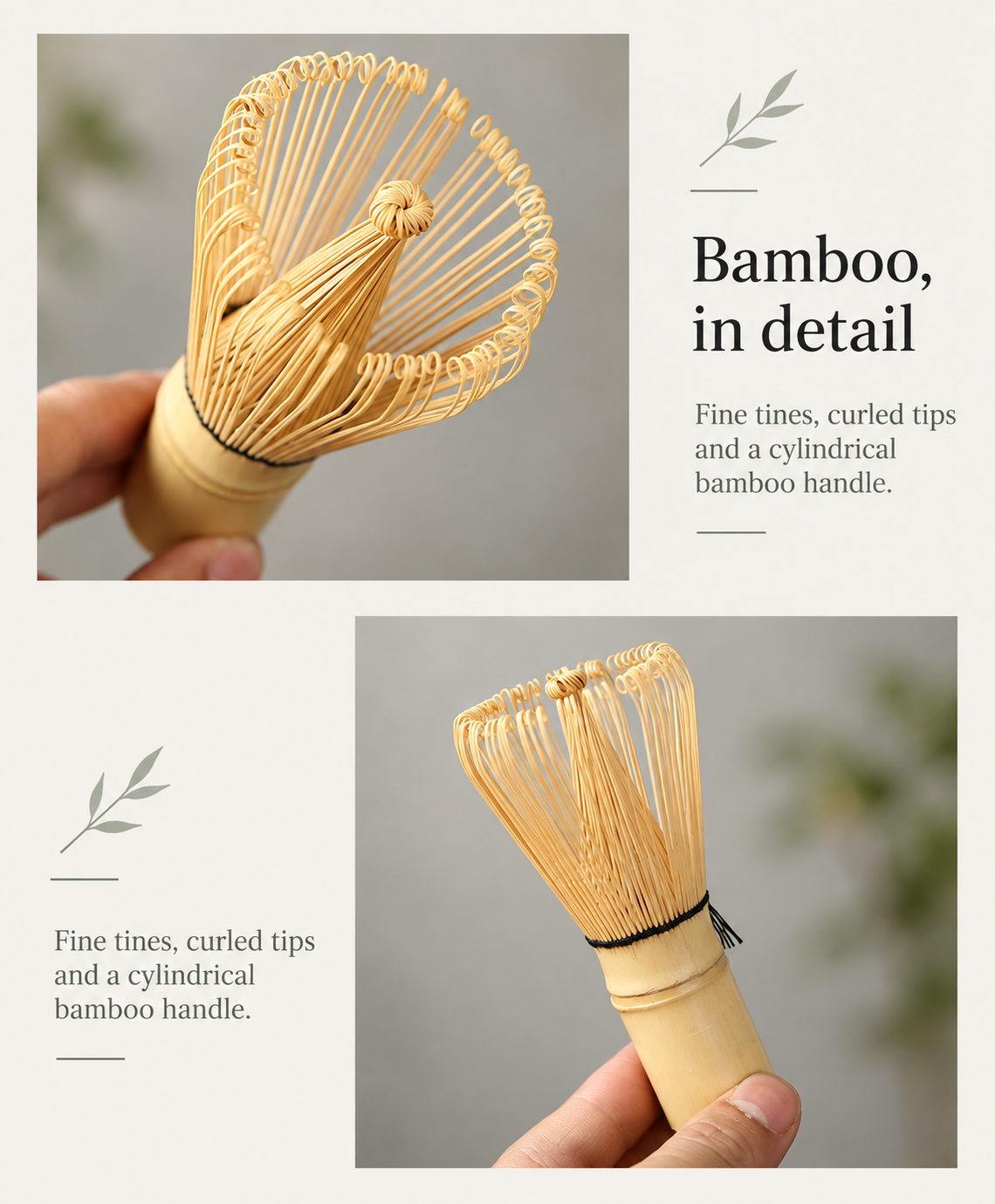 Bamboo, in detail