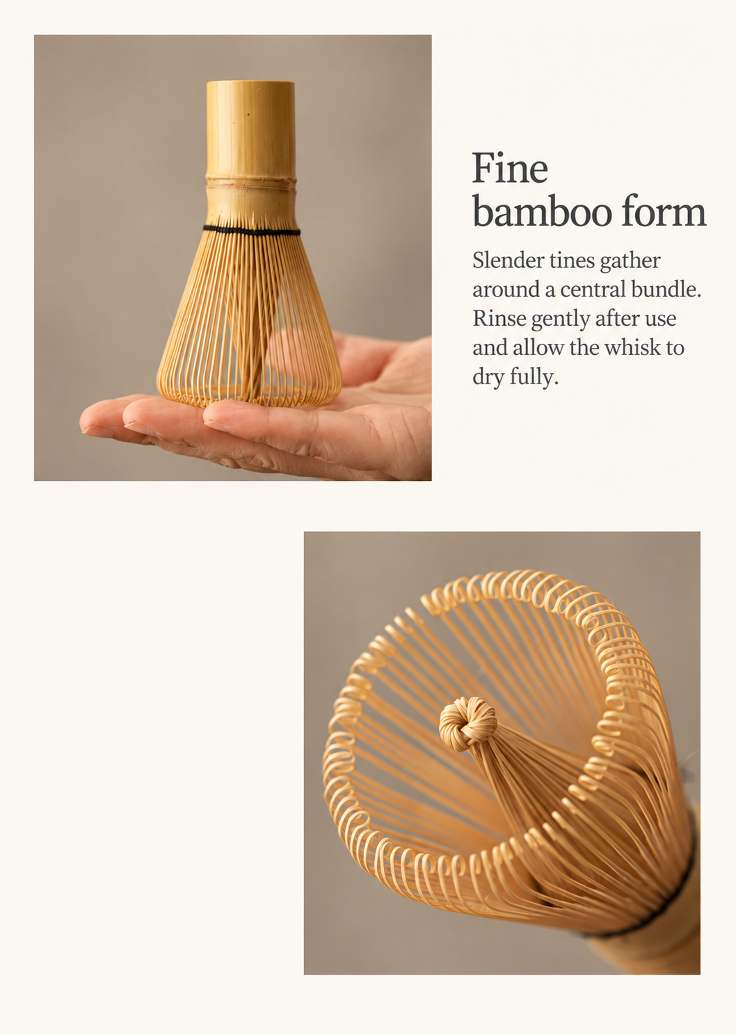 Fine bamboo form