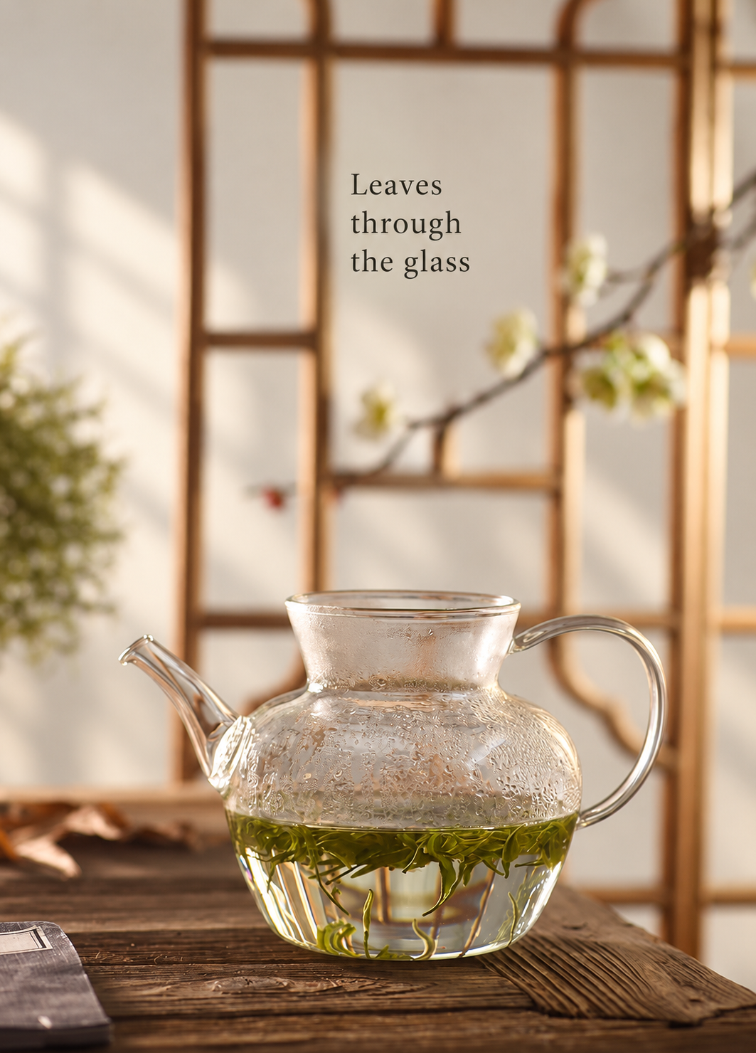 Leaves through the glass
