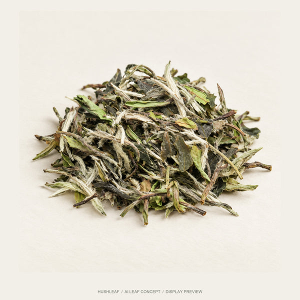 White Peony White Tea — Lingtou, Fuding