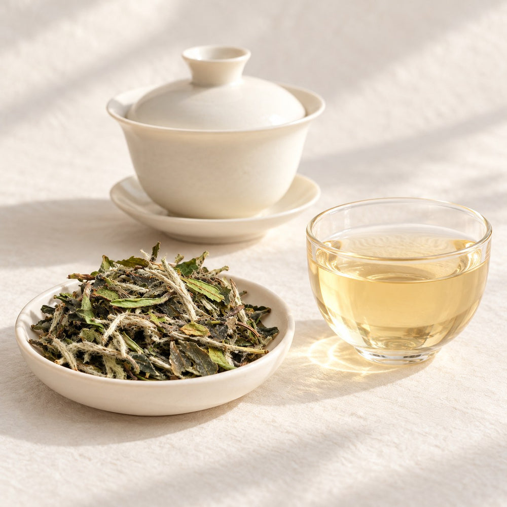 AI brewing scene concept — White Peony White Tea — Lingtou, Fuding