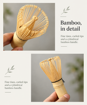 Bamboo, in detail