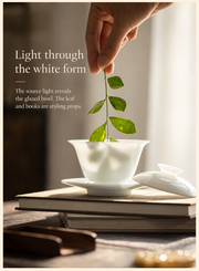Light through the white form