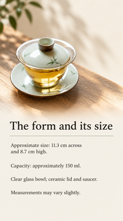The form and its size