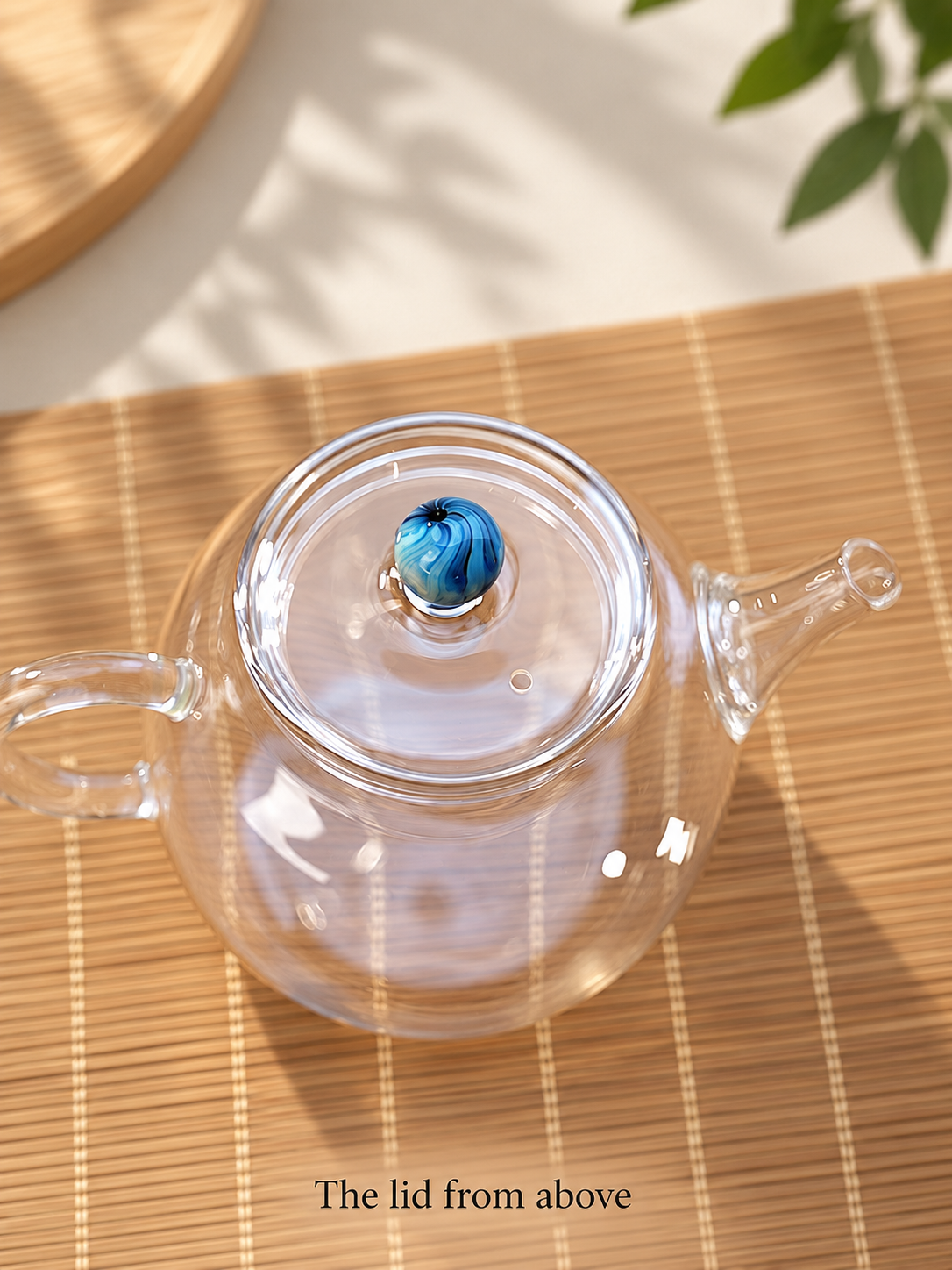 The lid from above