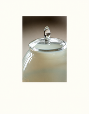 The glass lid