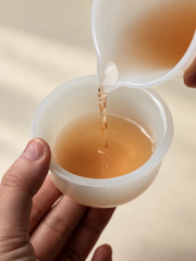 Puyu White Porcelain Tasting Cup — image 4