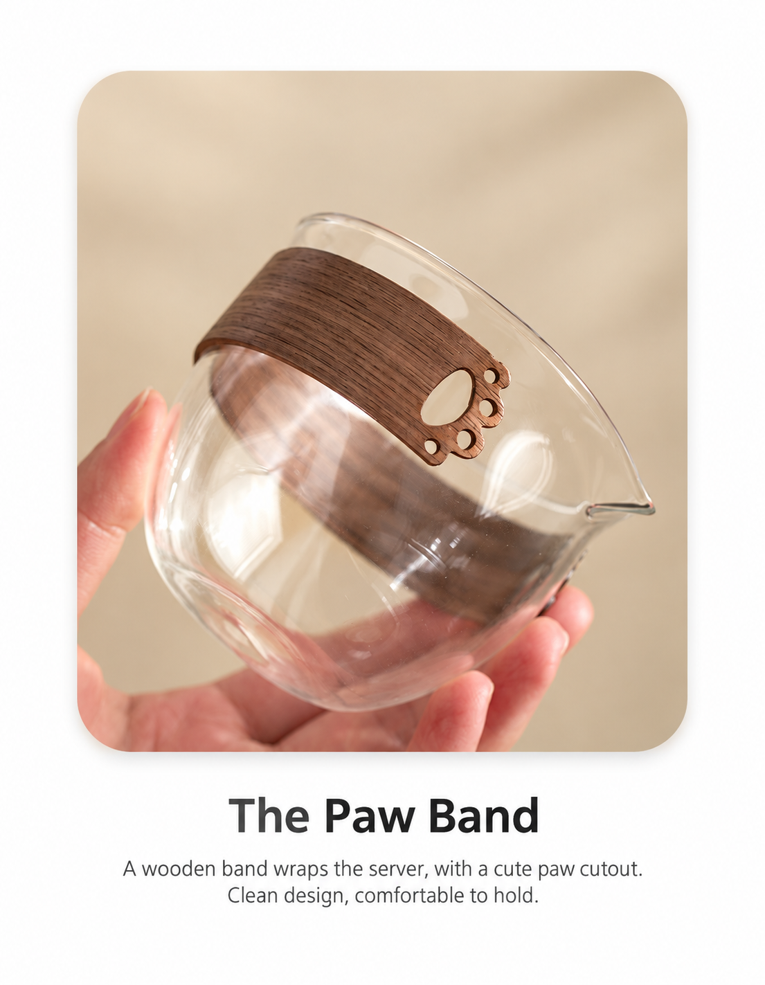 The Paw Band