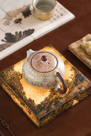 XiShi overhead detail