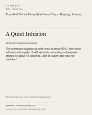 AI concept collection — brewing information card — Pure-Bud Bi Luo Chun Style Green Tea — Mojiang, Yunnan