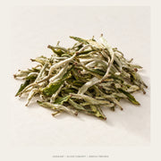 AI leaf concept — First-Flush Mao Feng Green Tea — Yin Pan Mountain, Yunnan