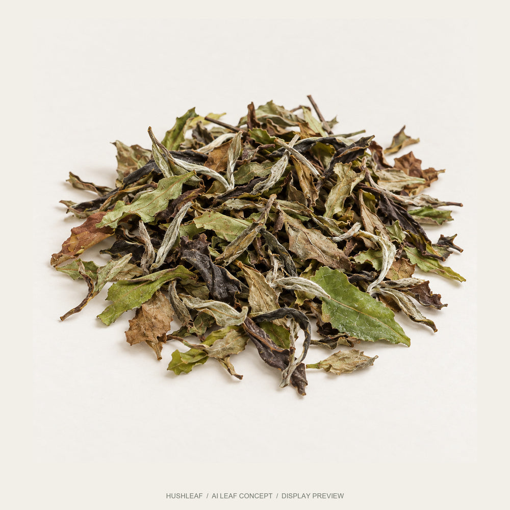 AI leaf concept — White Peony White Tea — Shaowu