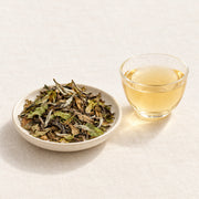 AI brewing scene concept — White Peony White Tea — Shaowu