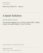 AI concept collection — brewing information card — White Peony White Tea — Shaowu