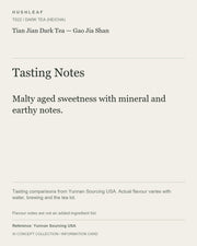 AI concept collection — tasting information card — Tian Jian Dark Tea — Gao Jia Shan