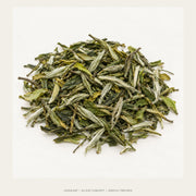 AI leaf concept — White Peony White Tea — Boliu Village, Fuding