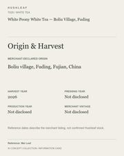 AI concept collection — origin harvest information card — White Peony White Tea — Boliu Village, Fuding