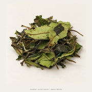 AI leaf concept — Shou Mei White Tea — Lingtou, Fuding