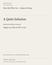 AI concept collection — brewing information card — Shou Mei White Tea — Lingtou, Fuding