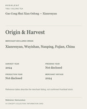 AI concept collection — origin harvest information card — Gao Cong Shui Xian Oolong — Xianrenyan
