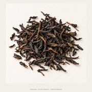 AI leaf concept — Huang Zhi Xiang Dancong Oolong — Phoenix Mountain
